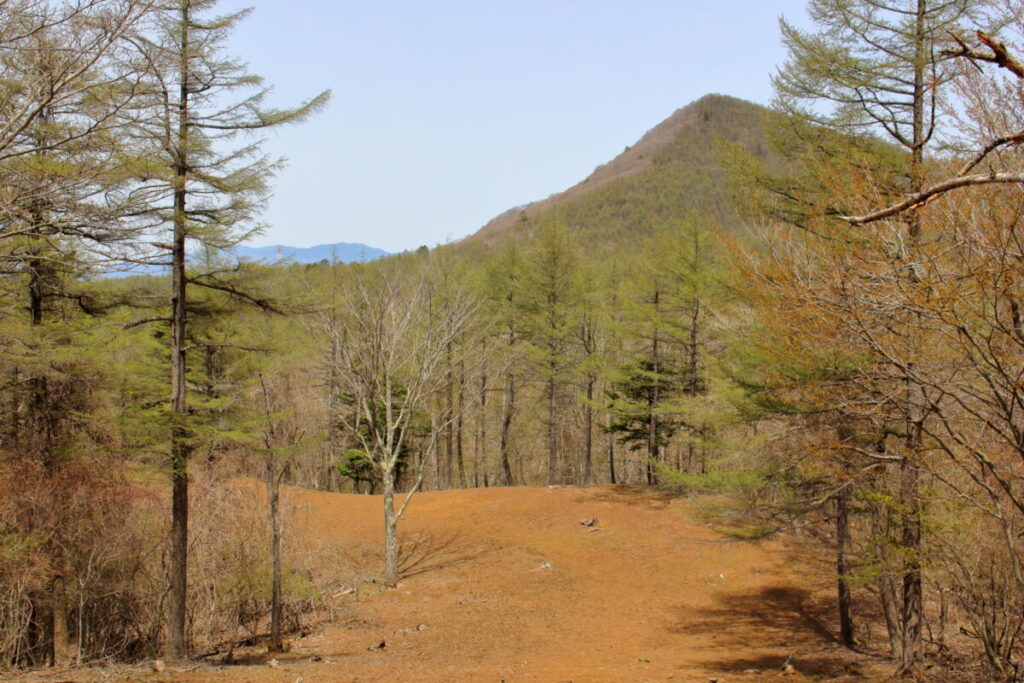 お隣の山「大谷ヶ丸」