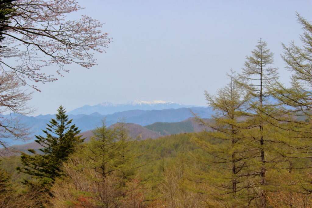 雪をかぶった八ヶ岳