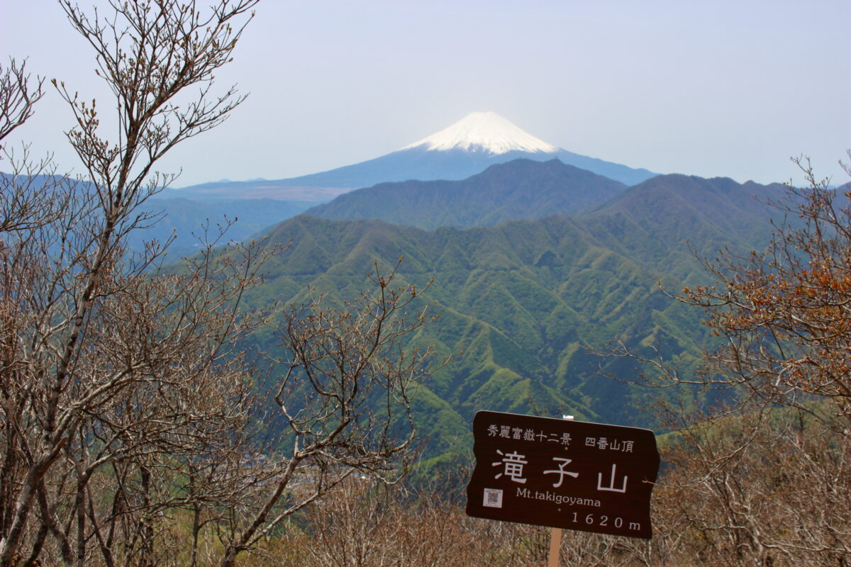 滝子山山頂から眺める富士山