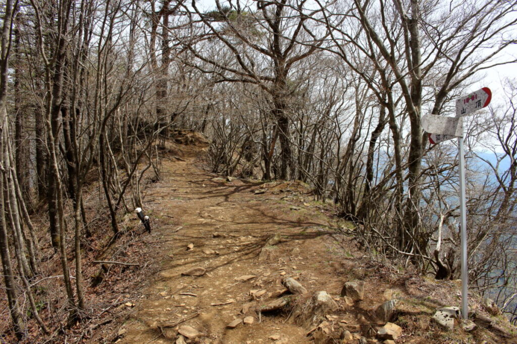 滝子山山頂直下の分岐