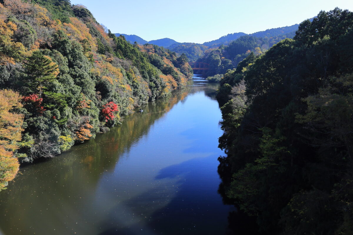 神納橋からの亀山湖の眺め