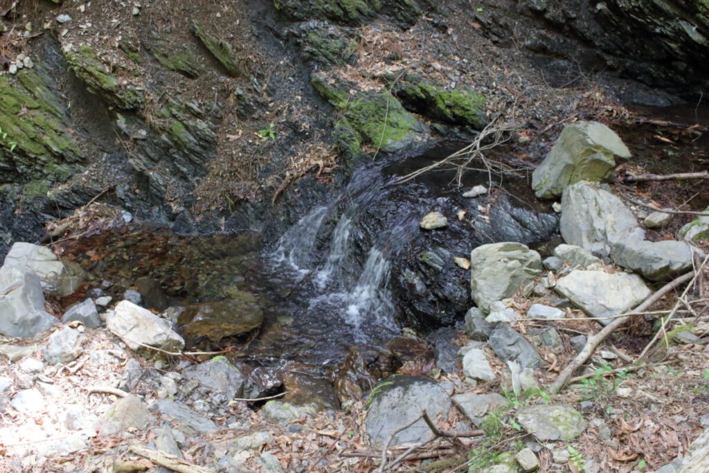 とてもきれいな沢の水