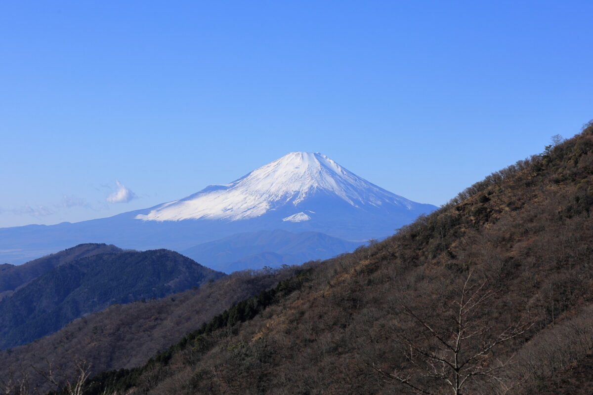 堀山の家～花立山荘の登山道から眺める富士山