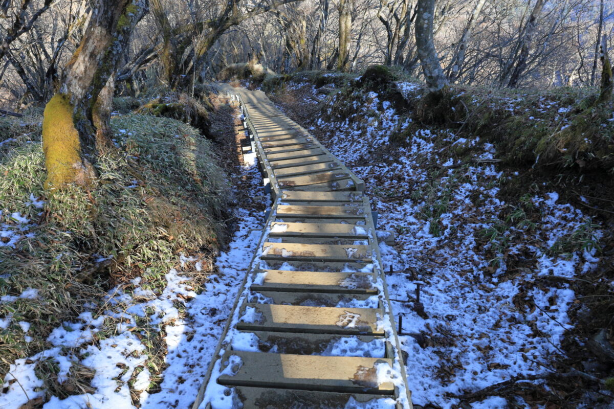 塔ノ岳山頂から下る木の階段