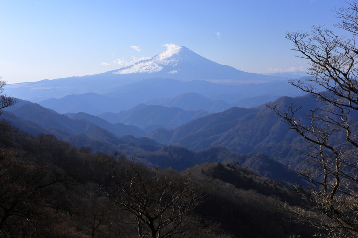 塔ノ岳から丹沢山への登山道からの富士山の眺め