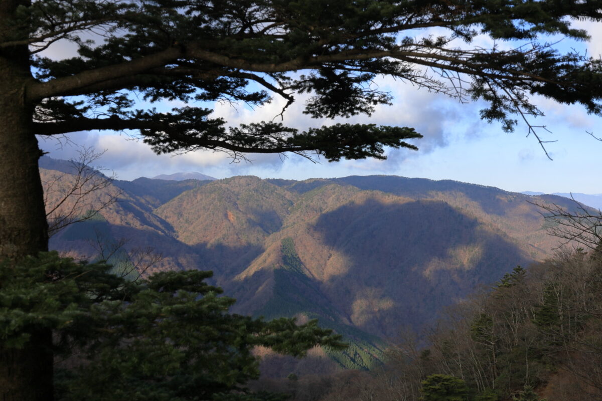 円山木ノ頭近くからの大室山や低い山並みの眺め