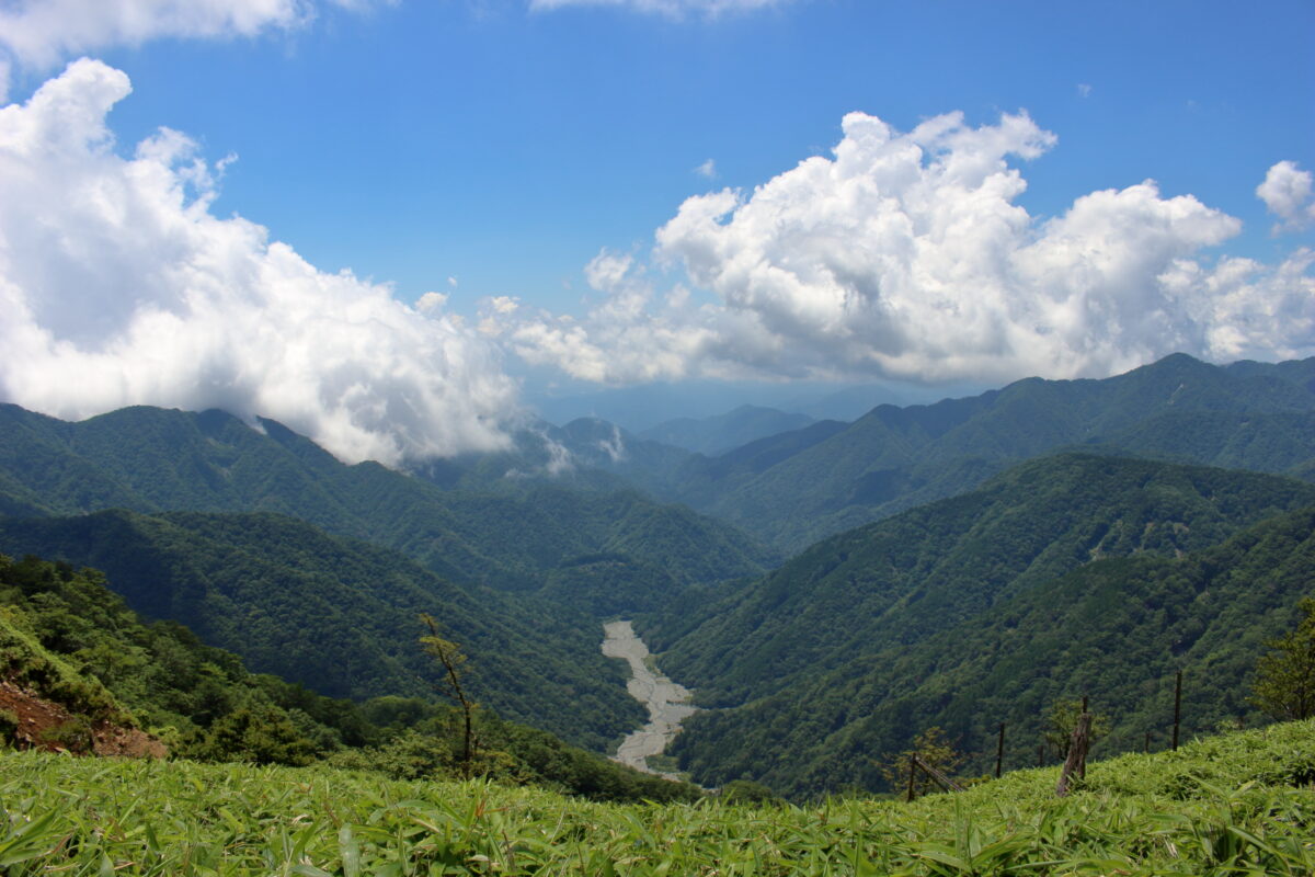 丹沢山への尾根道から西側には丹沢の山々を望む