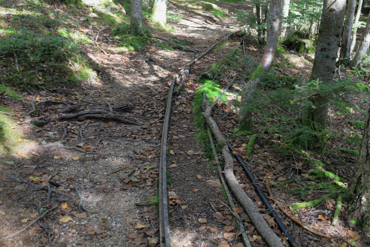 森林鉄道のレール跡が残る本沢温泉への道