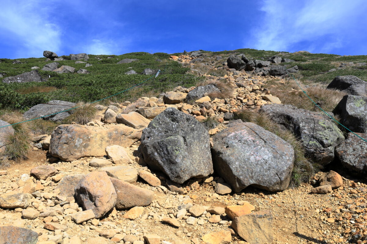 根石岳へ上るガレ気味の登山道