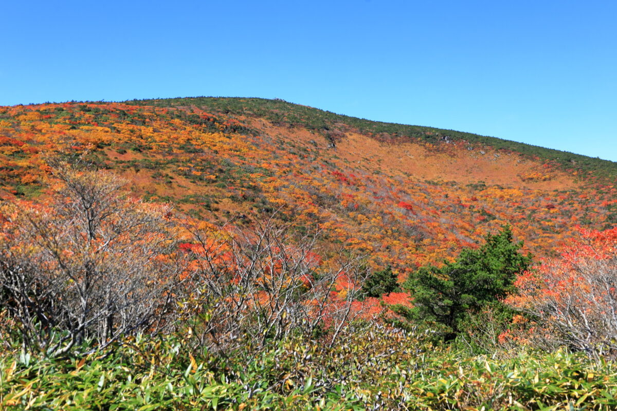 狭い登山道を抜けた先に広がる紅葉の絶景