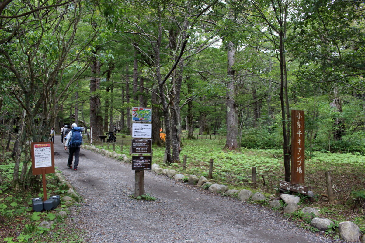 北アルプス 徳澤にテント泊して蝶ヶ岳から絶景を眺める山旅 徳澤テント泊編 ひさのゆる登山日記