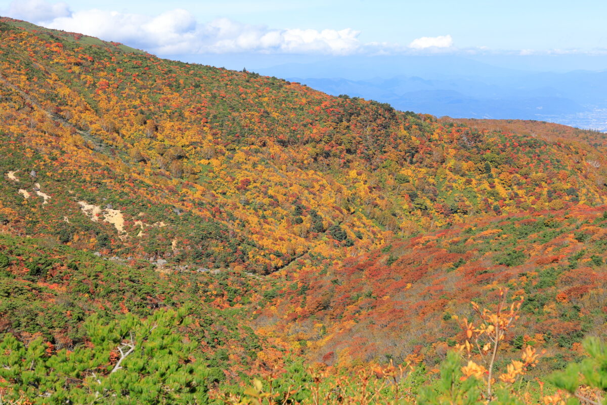 峰の辻近くの登山道からの紅葉の絶景