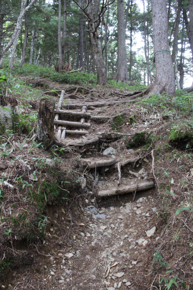 蝶ヶ岳・徳澤コースの登山道