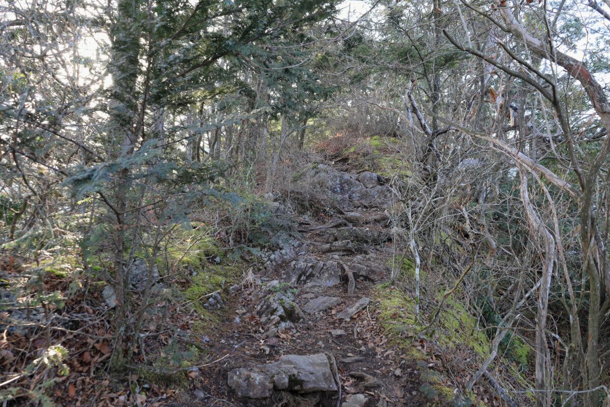 岩が多めの急登がところどころにある鋸尾根の登山道