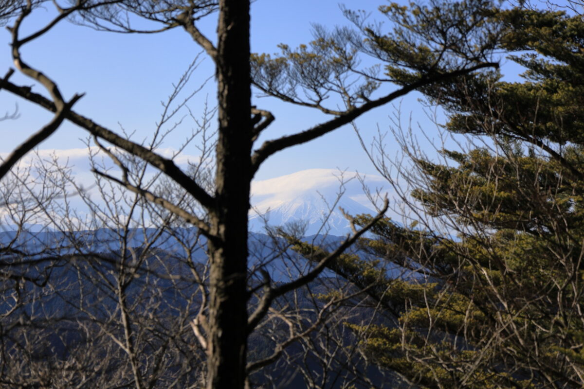 鋸山～大岳山の登山道からの富士山の眺め