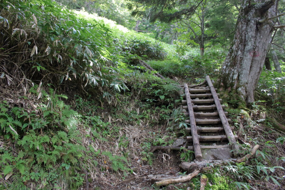蝶ヶ岳・横尾ルートに設置された木の階段