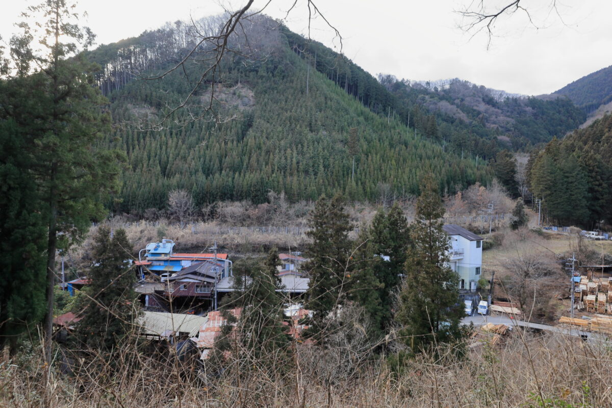 陸橋近くの登山道からの集落の眺め