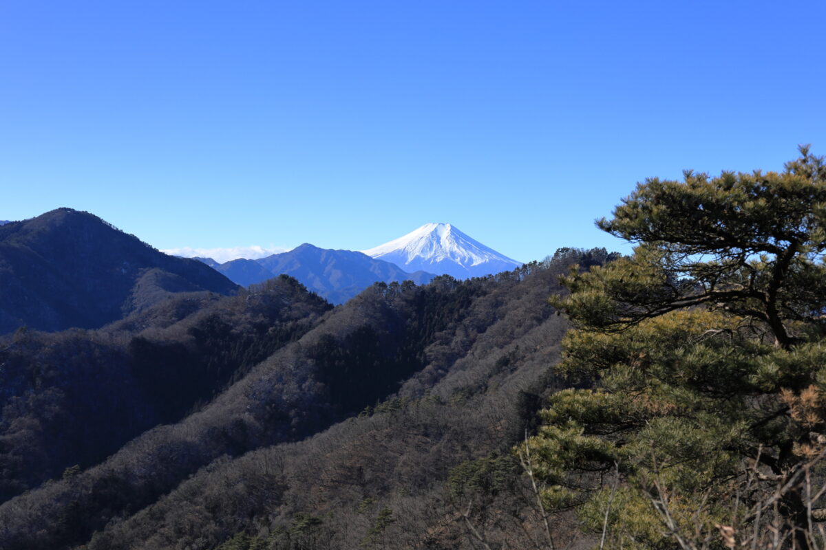 御前山山頂からの富士山と周囲の山々の眺め